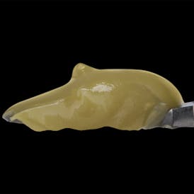 PARADISE PINE - Live Rosin Cold Cure Badder