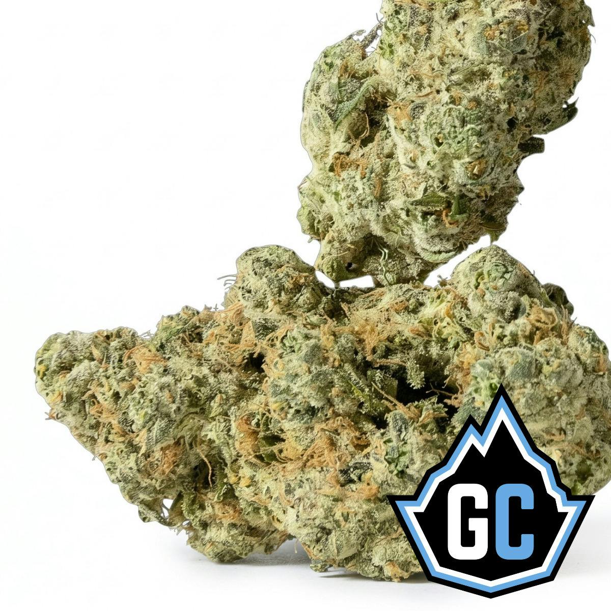 Apple Tartz | Bulk Flower