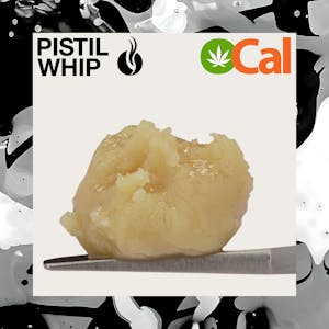 PISTIL WHIP - PISTIL WHIP - Golden Passion Fruit - OCal Live Rosin Badder - 1G