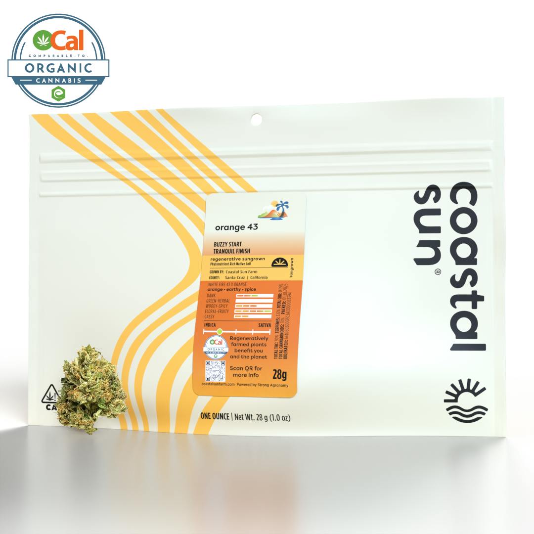 Coastal Sun: Orange 43