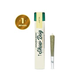 Dogwalkers Durban Z Big Show Dog Infused Pre Rolls 1g
