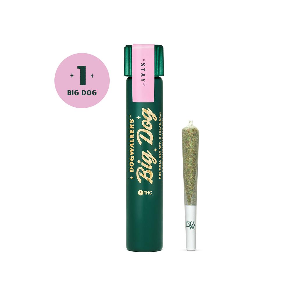 Dogwalkers .75g Big Dog | Afternoon Delight #4 at RISE Dispensary