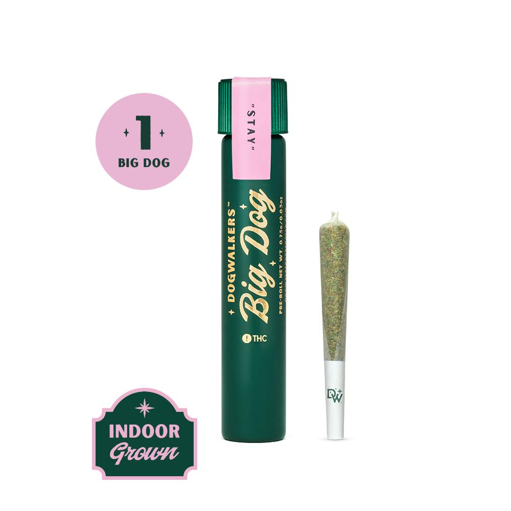 Dogwalkers .75g Big Dog | Afternoon Delight #4 at RISE Dispensary