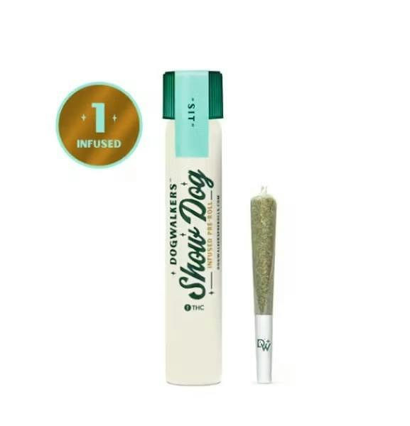 Dogwalkers Brownie Scout Show Dog Infused Pre Rolls 1g