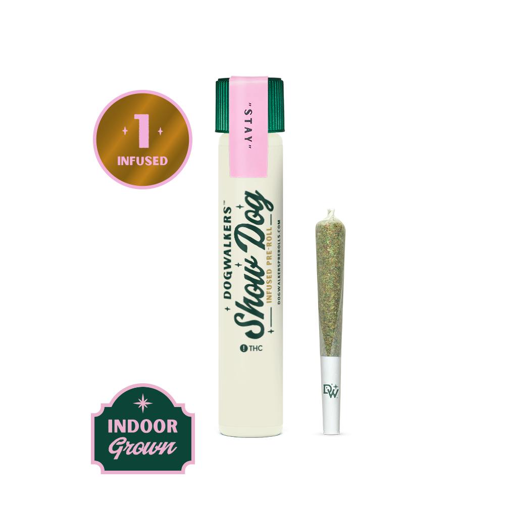 Dogwalkers Slapz Big Show Dog Infused Pre Roll 1g at Greenleaf Wellness Cannabis Weed Dispensary Reno
