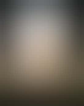 Bolo Runtz | Pre-Packaged 14G