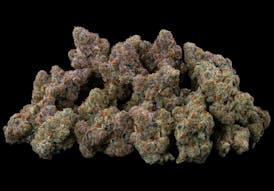 Red Runtz | Bulk Flower