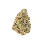 30 Something | Possum | Big Buds