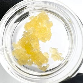 Cake Lotto Terp Sugar - 1g