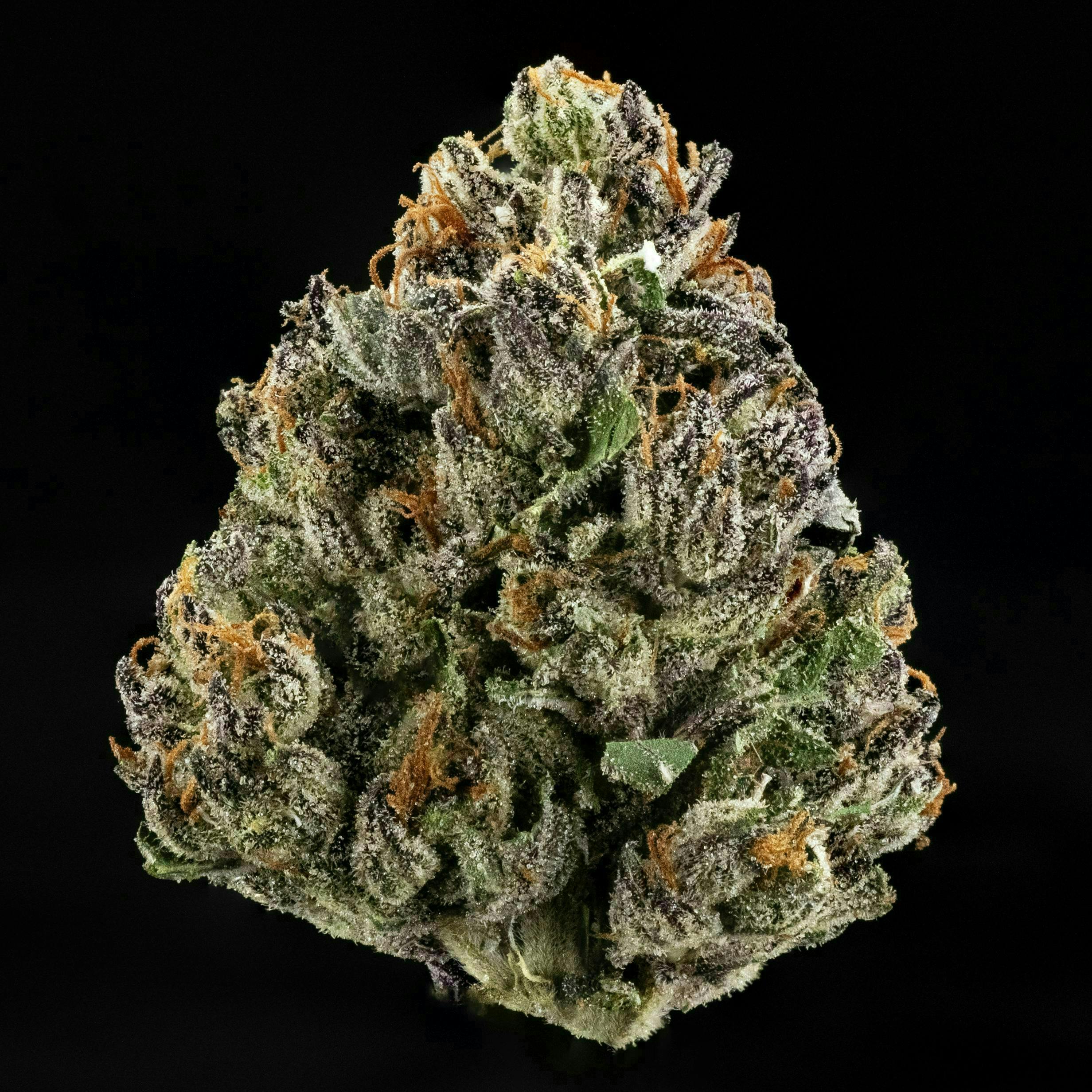Casa Flor: Strawberry Dulce