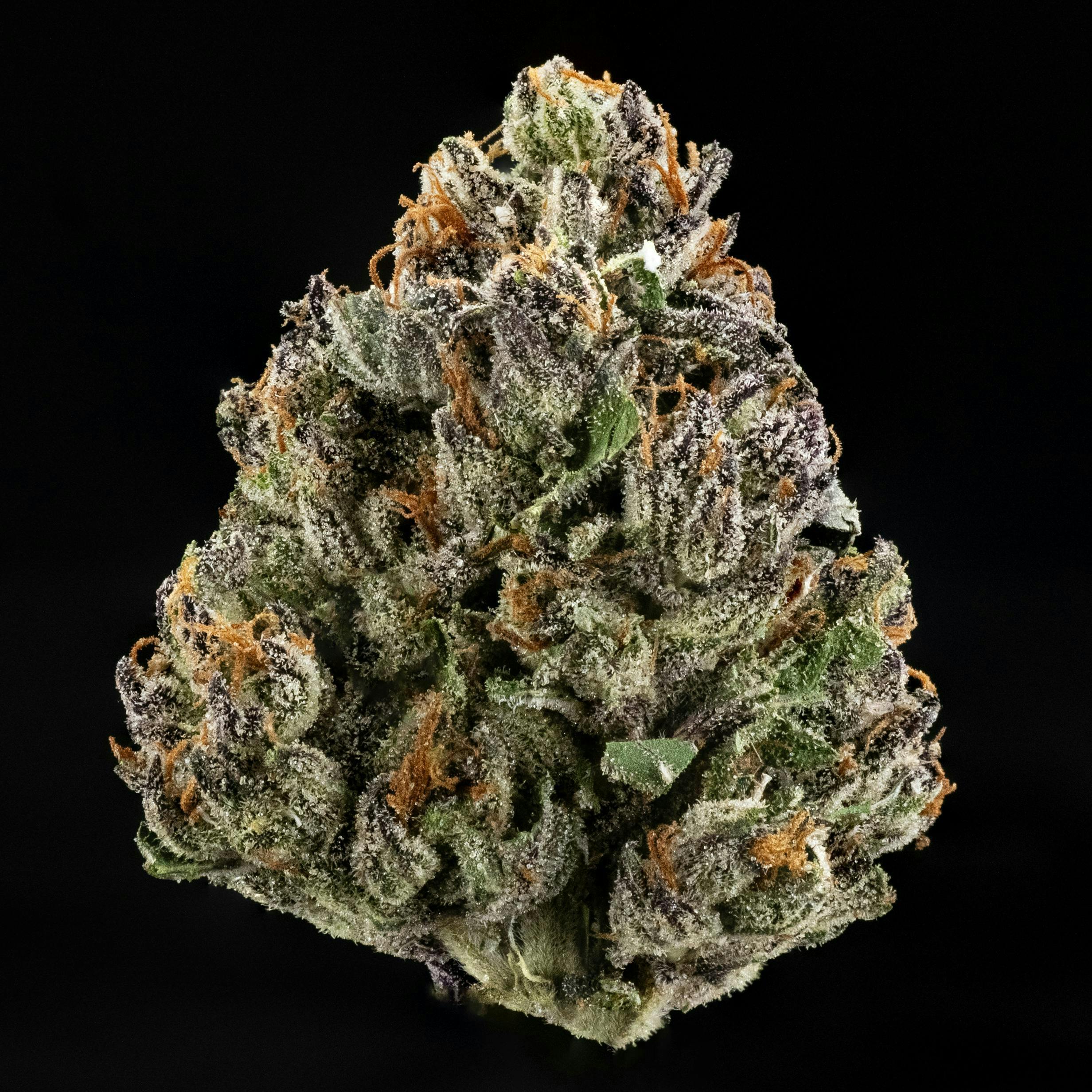 Casa Flor — Sweet