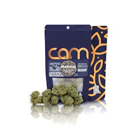 CAM | Brain Dead (7g)