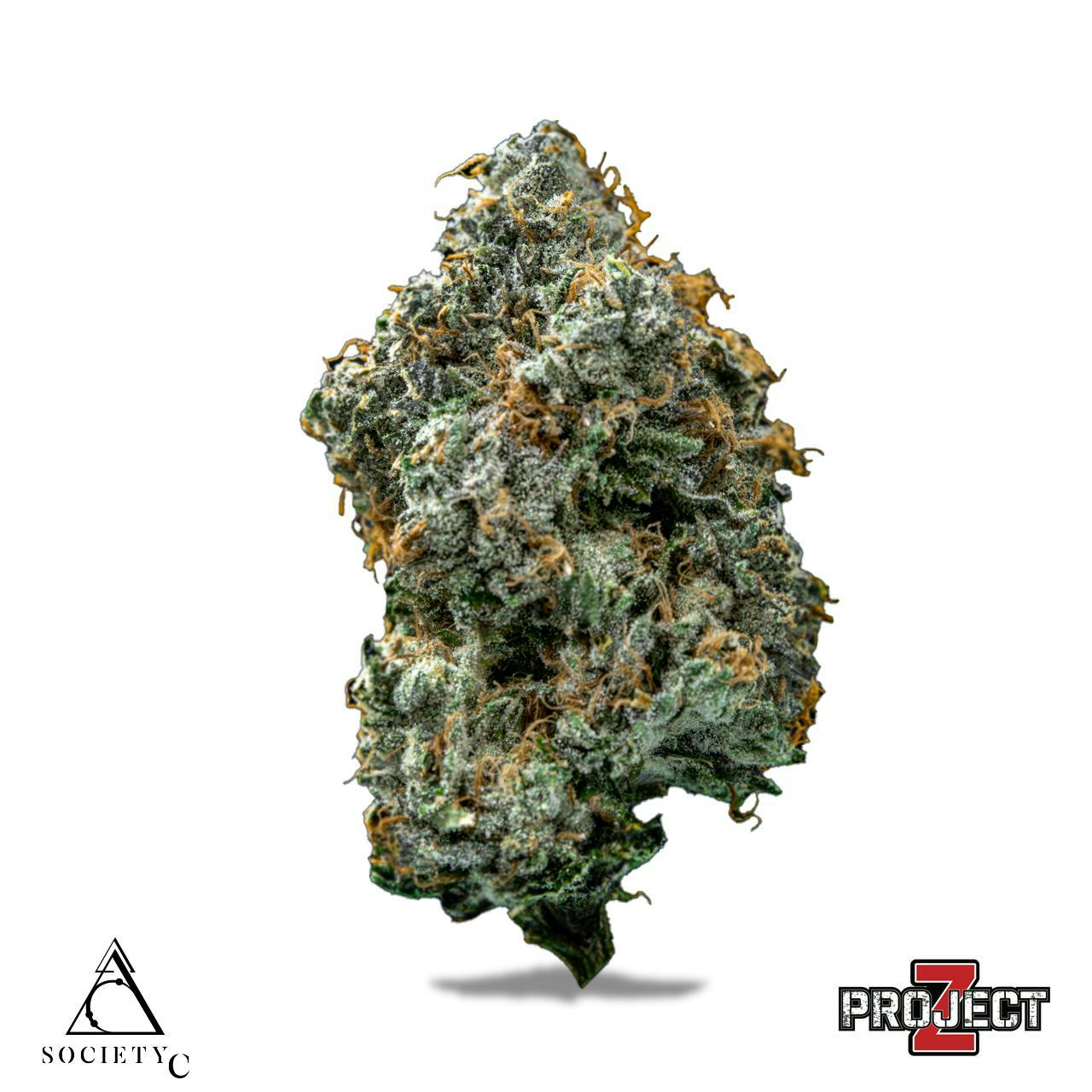 Society C | Project Z by Society C