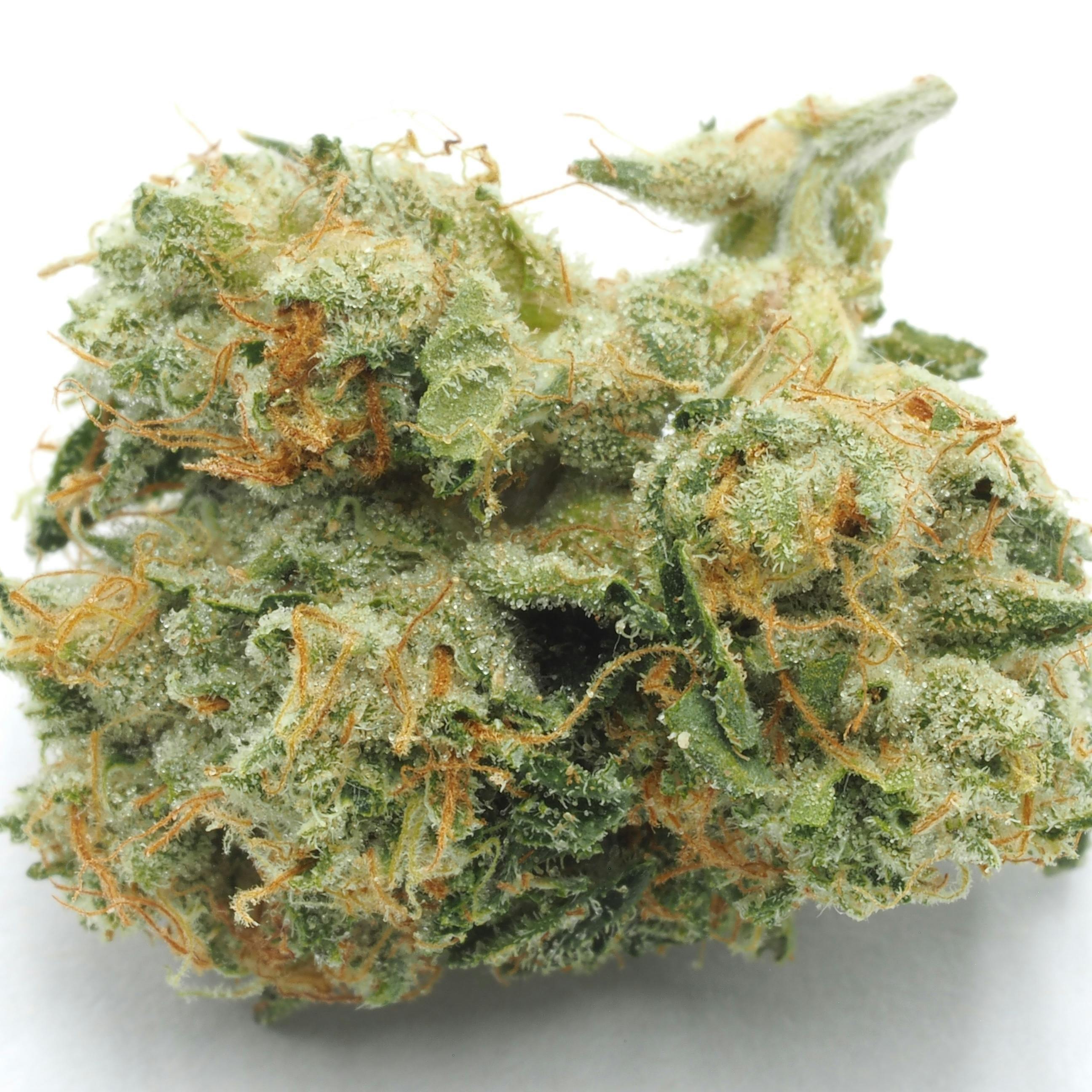 Inadaze | INADAZE OG Premium 1/8
