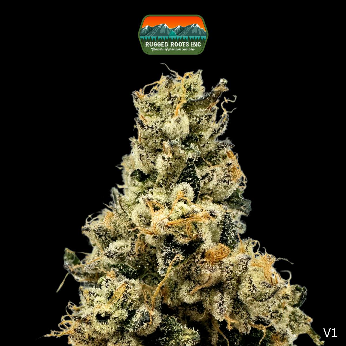 Rugged Roots | First Class Gas 3.5g by Rugged Roots