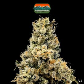 Rugged Roots | First Class Gas 3.5g