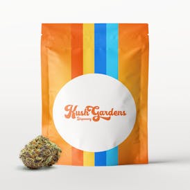 Popcorn Flower - Gelato 41