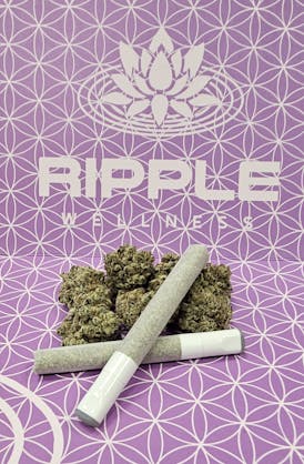 Pre Roll - INFUSED Premium 2g - JFK