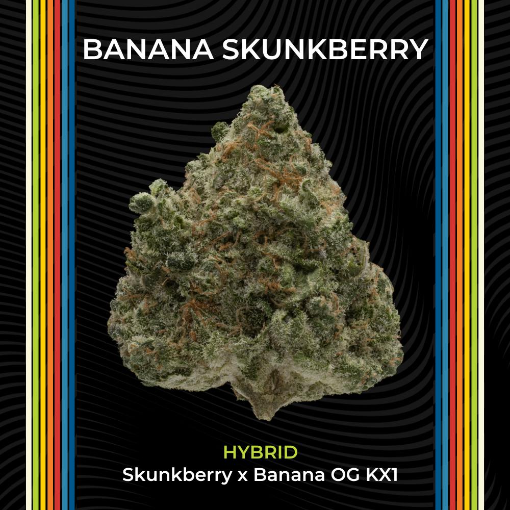 Banana Skunkberry | Flower | 2.83g