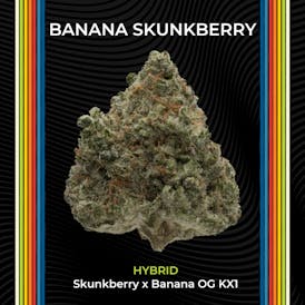 Banana Skunkberry | Flower | 2.83g