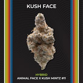 Kush Face #1 | Flower | 2.83g