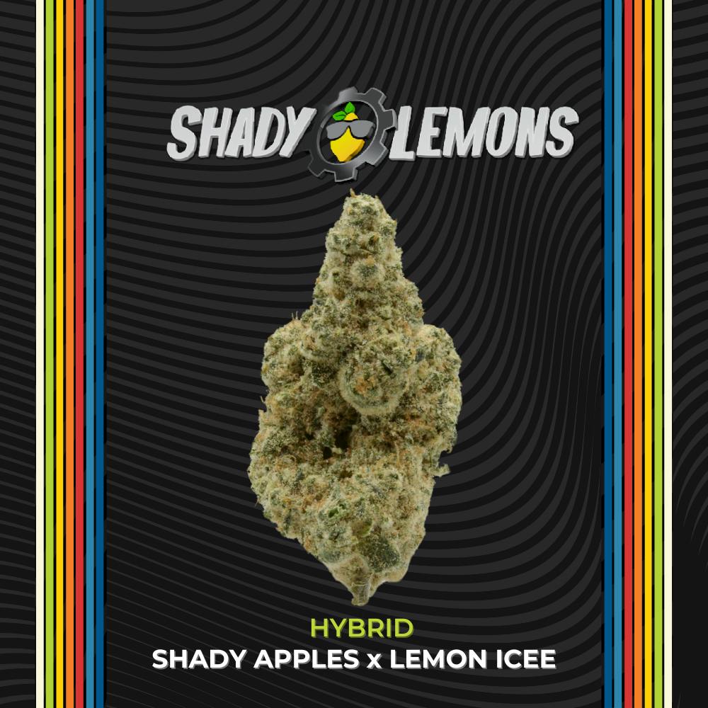 Shady Lemons - Select | Flower | 14.15g