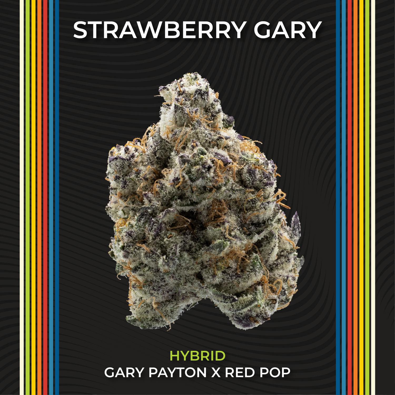 Strawberry Gary - Bigs | Flower | 14.15g