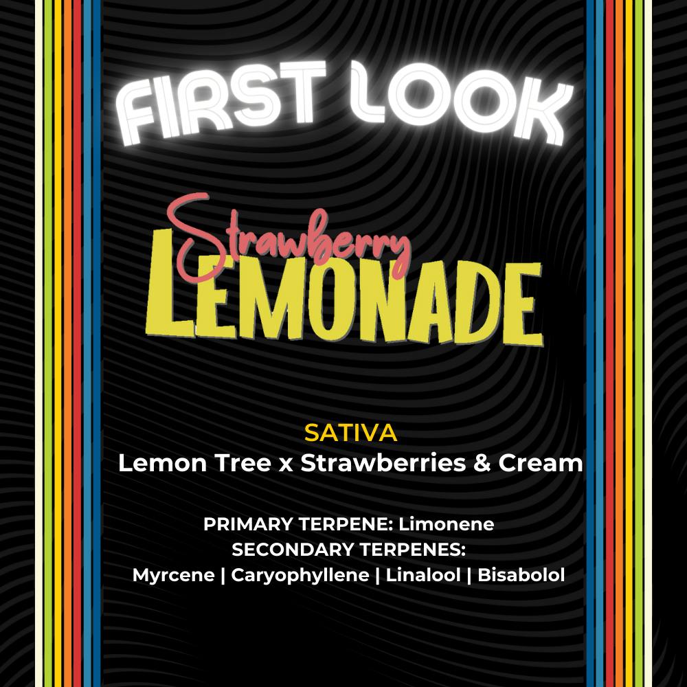 Strawberry Lemonade | Flower | 14.15g by Certified Cultivators