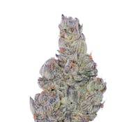 Fig Farms Trixxx
