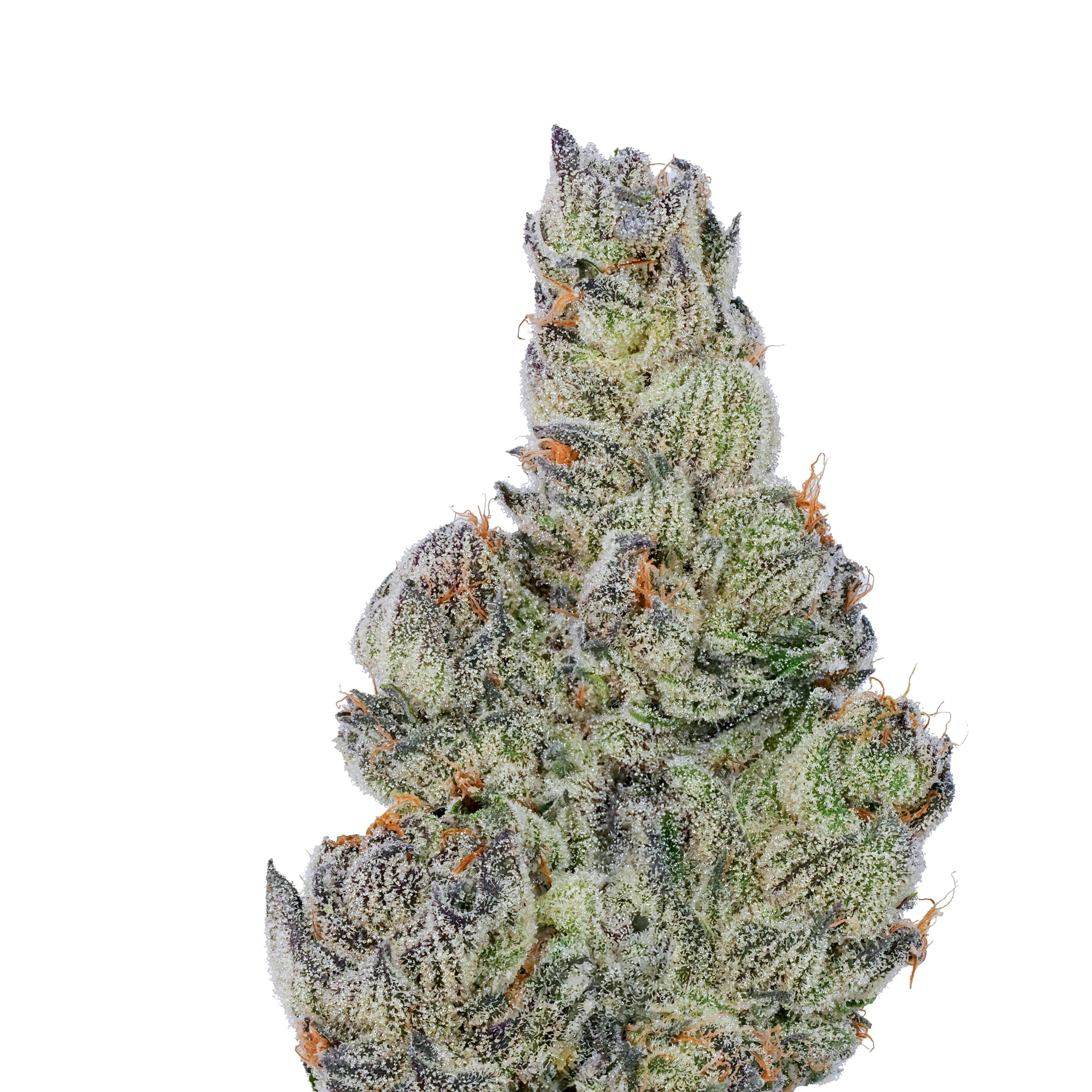 Fig Farms — Kronuts