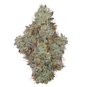 FIG FARMS | ANIMAL RUNTZ | FLOWER | 3.5G