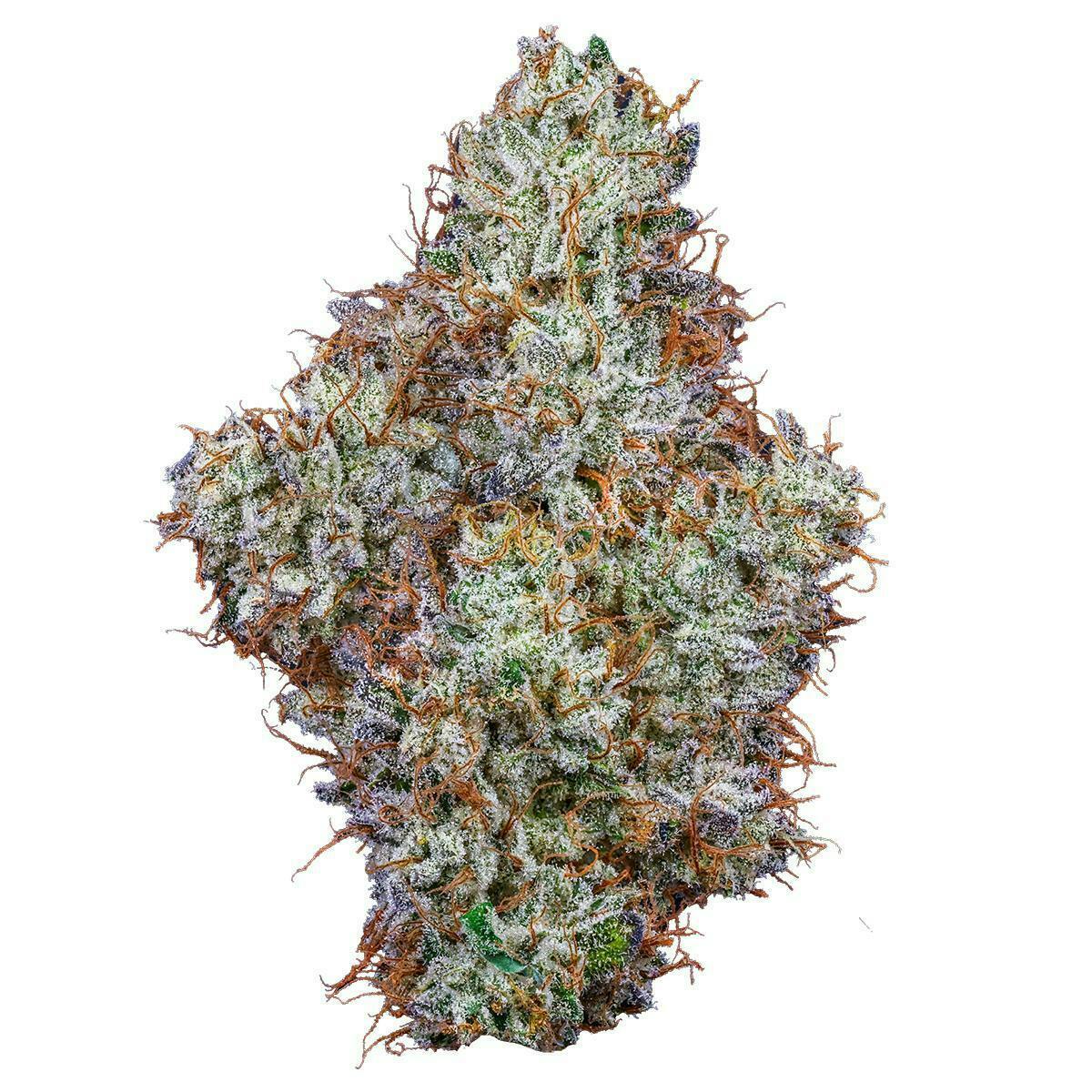 Fig Farms | Animal Runtz | Big Buds