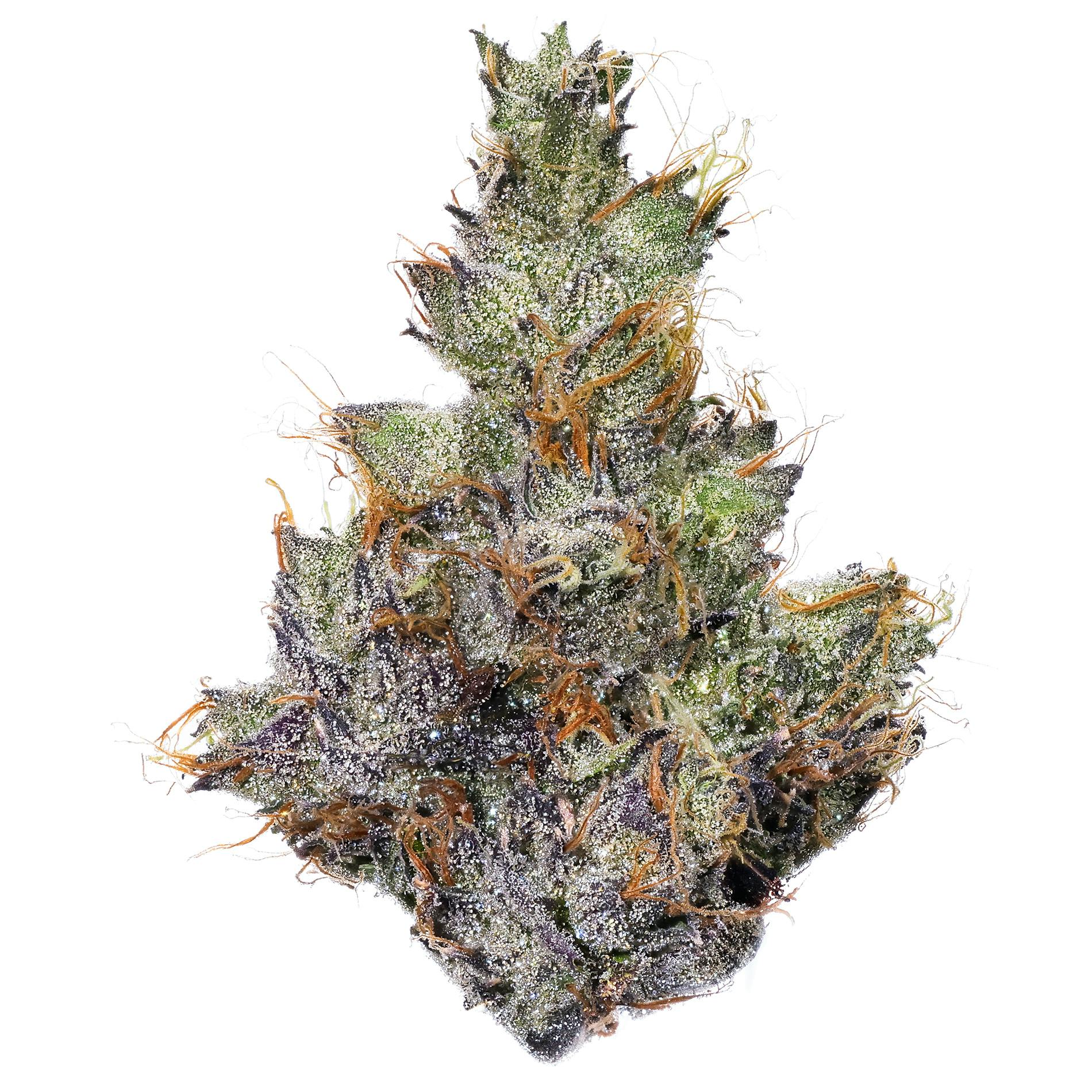 Fig Farms — Chems & Cherry