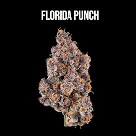Florida Punch Flower