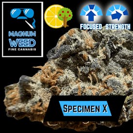 Magnum Specimen X
