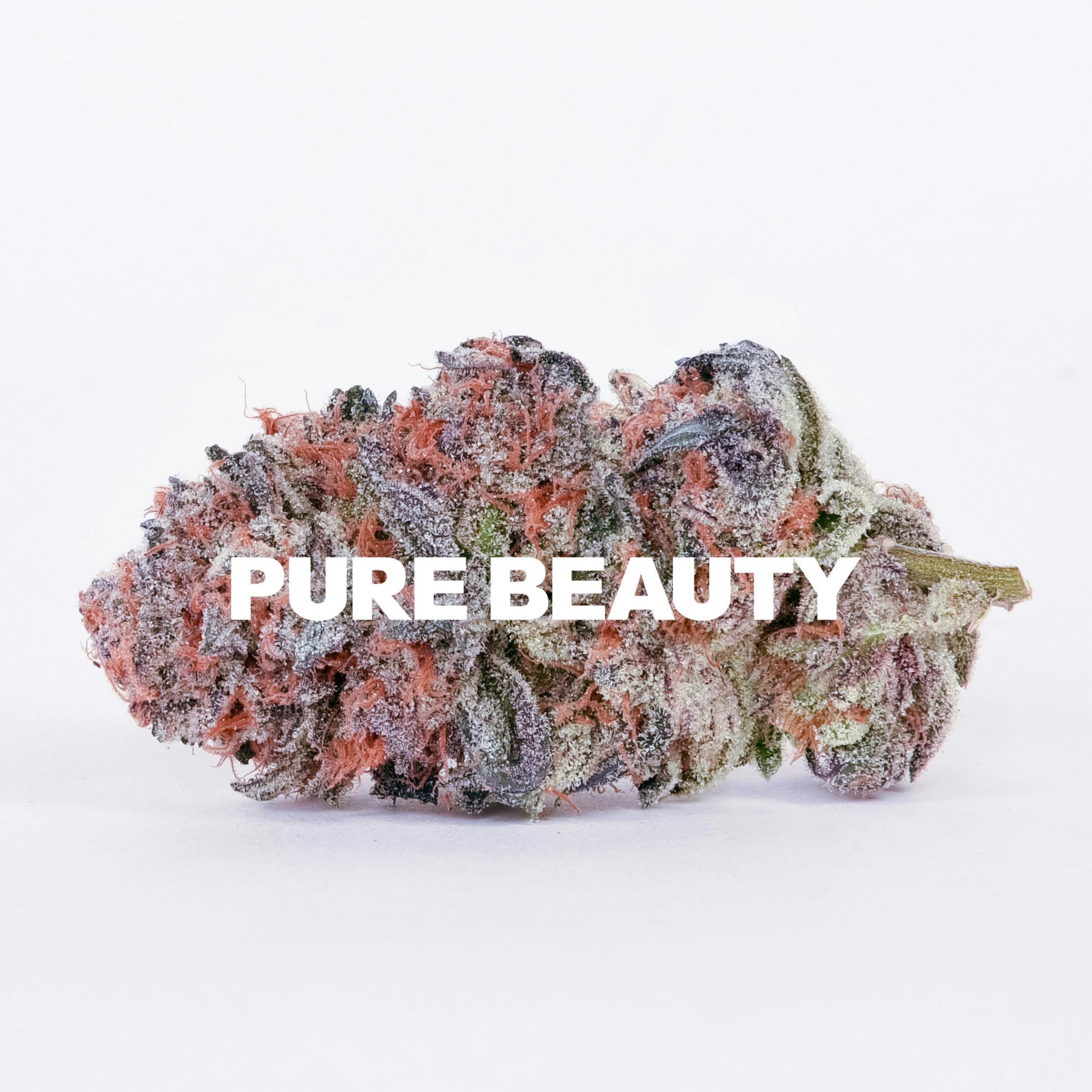 Pure Beauty: Cotton Candy Kush, Cotton Candy, Cotton Kandy Kush