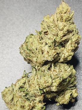 $100 Ounce of the Day - Alex Honnold