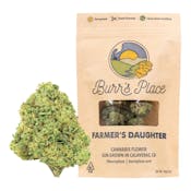 Burr’s Place | Farmer’s Daughter - 14g Bag (Sativa)