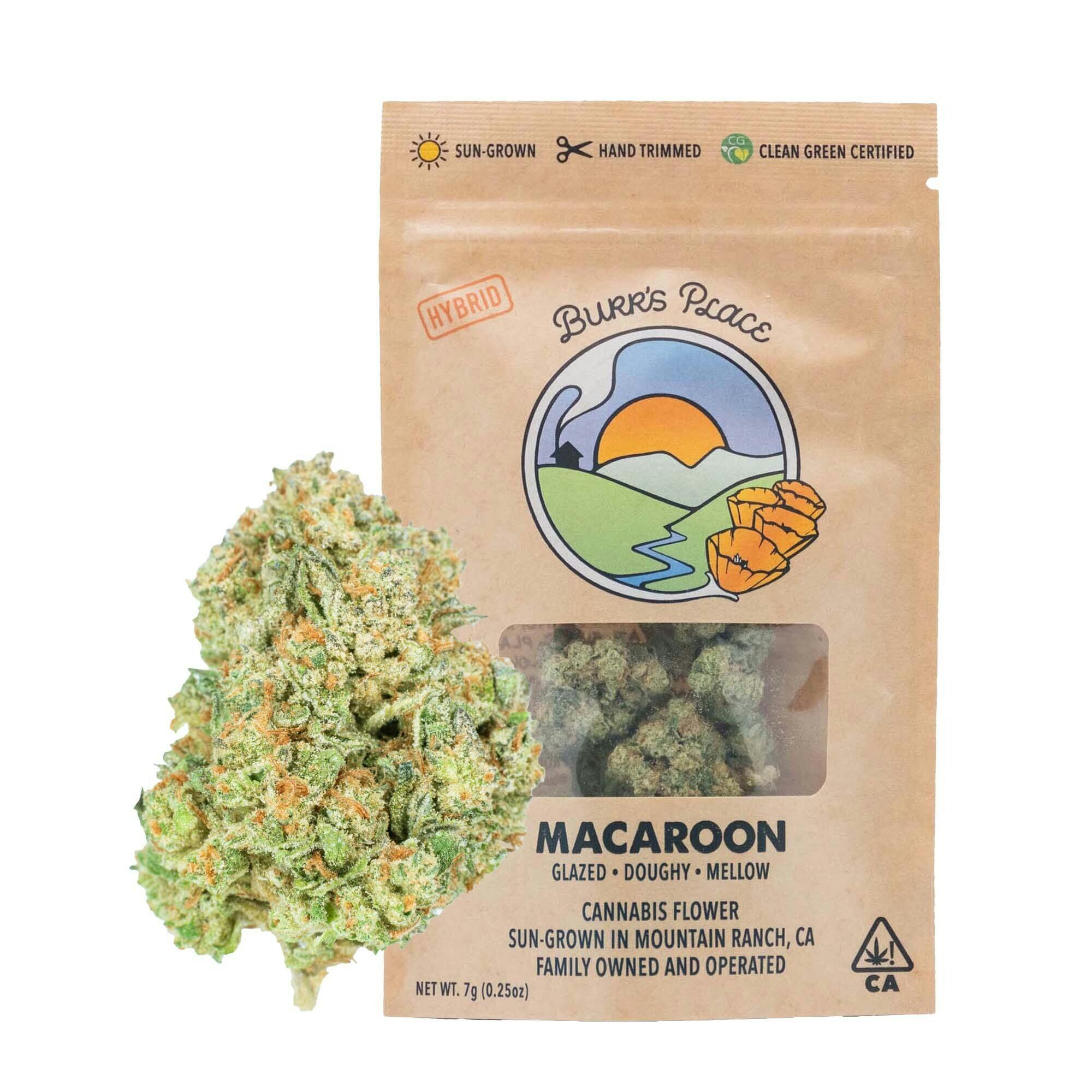 Burr's Place: Macaroon - Big Buds - 7g