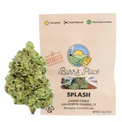 BURRS PLACE | SPLASH | FLOWER | 3.5G