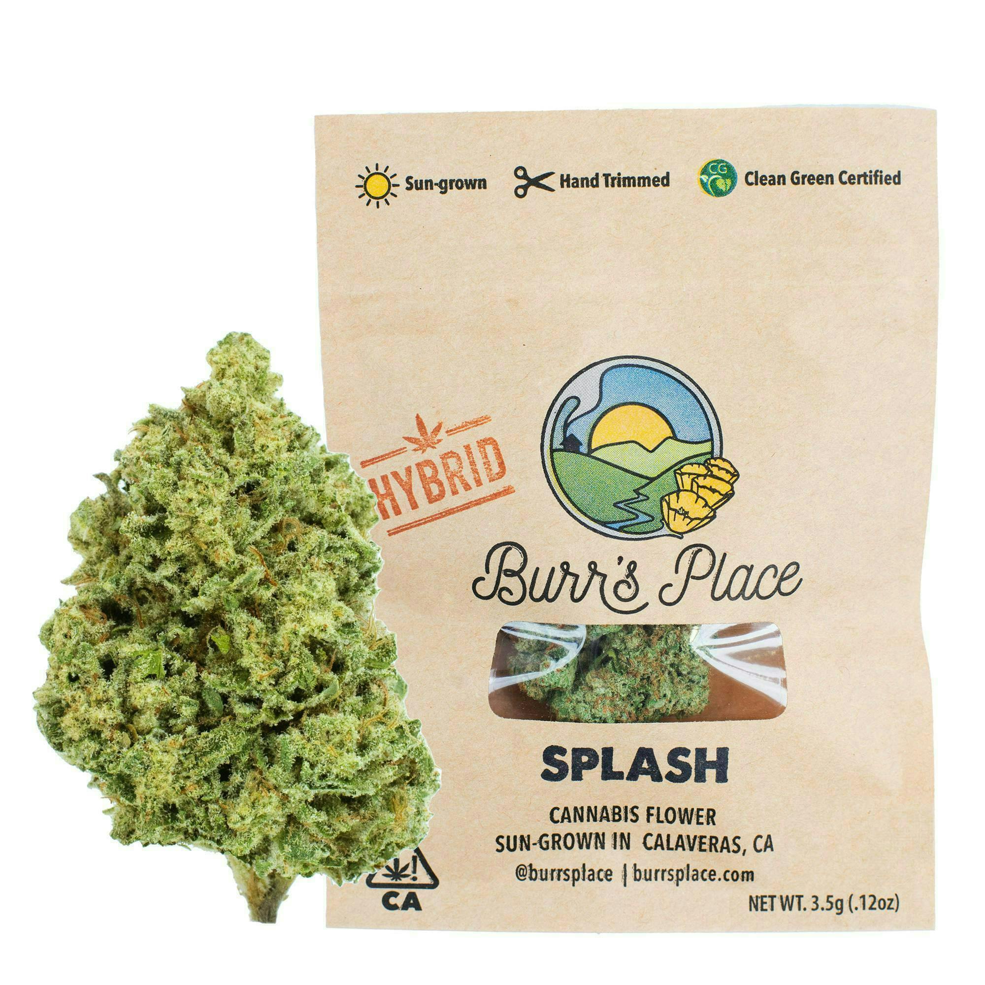 Burr's Place — Splash