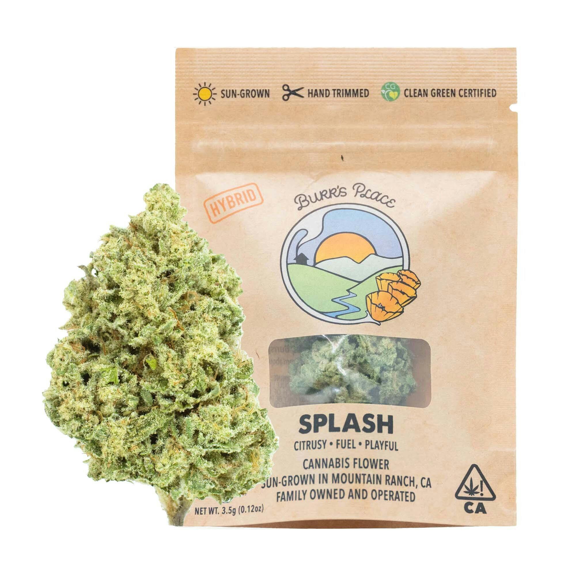 Burr's Place: Splash
