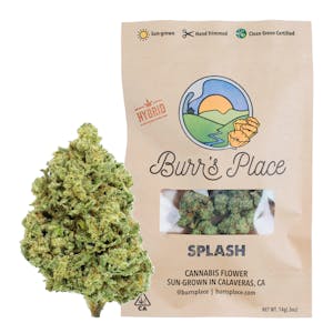 Burr's Place - Burr’s Place | Splash - 14g Bag (Hybrid)