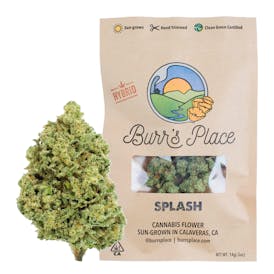 Burr’s Place | Splash - 14g Bag (Hybrid)