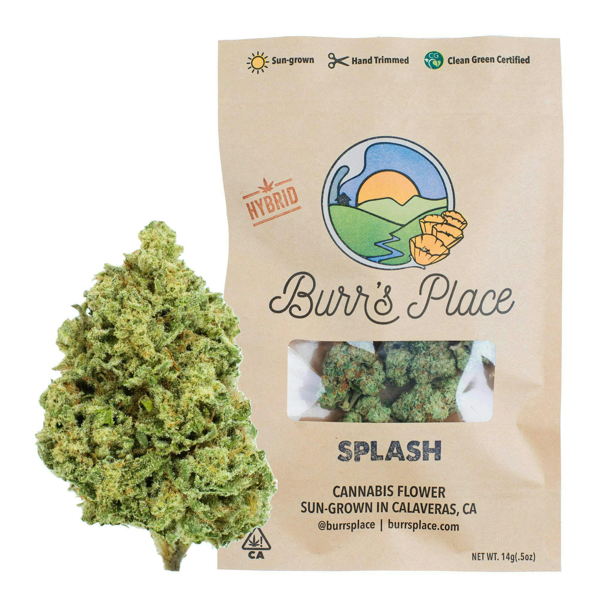 Burr's Place — Splash
