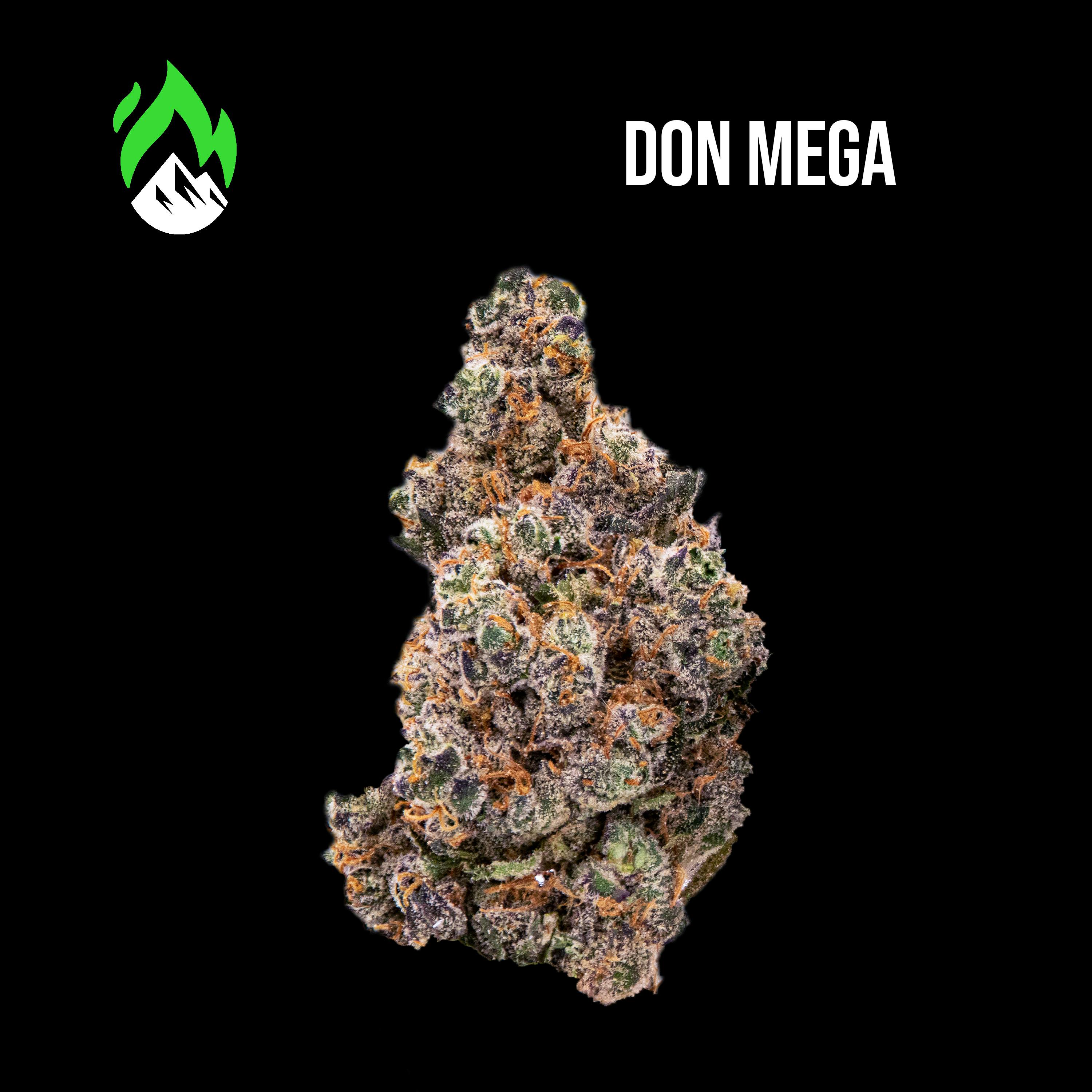 LIL CYCLONE✴︎Mega Rare✴︎Bangin G FUNK!! Don Mega Flower - Wildfire