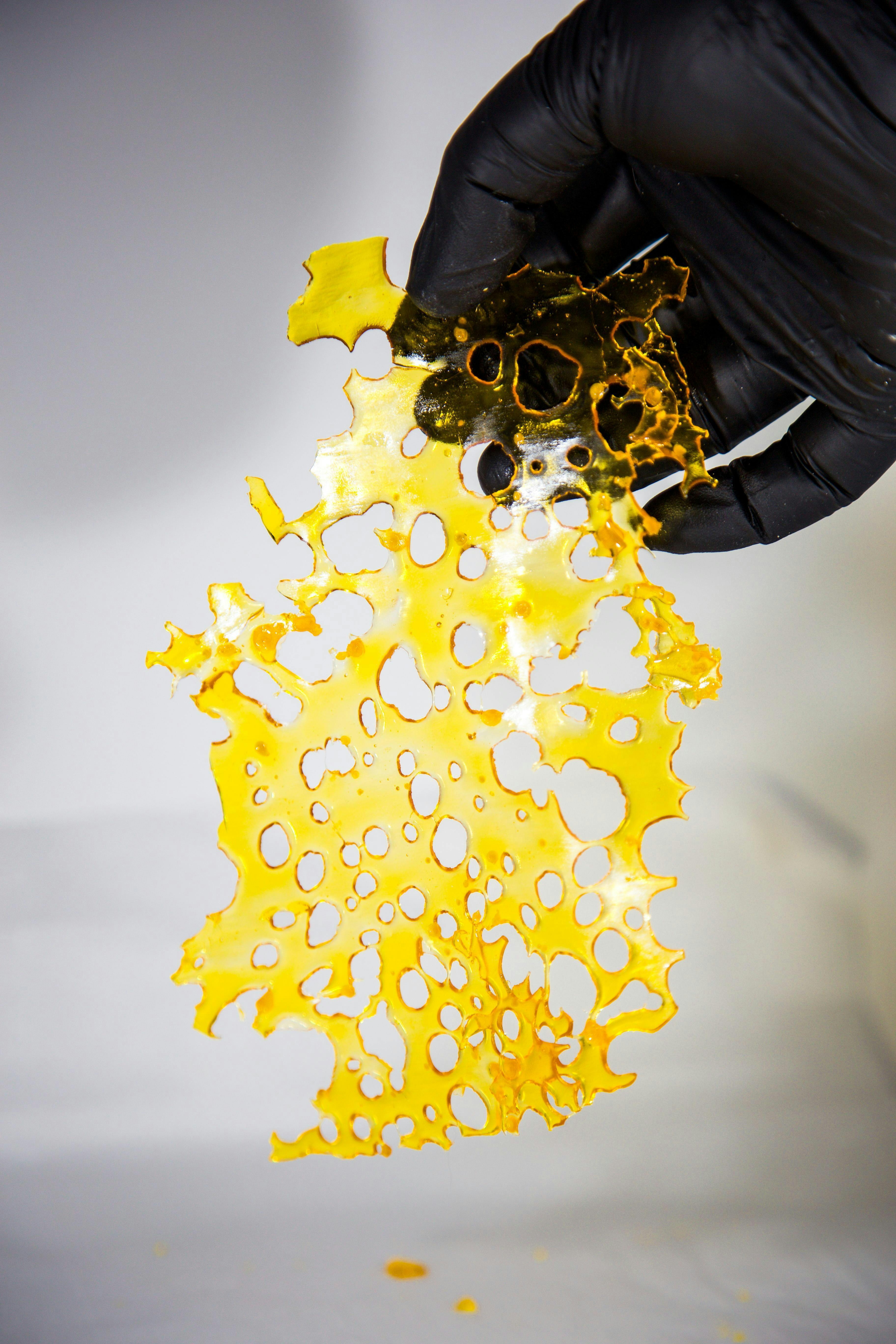 1g Shatter - GG4 at The WellFlower Manistee