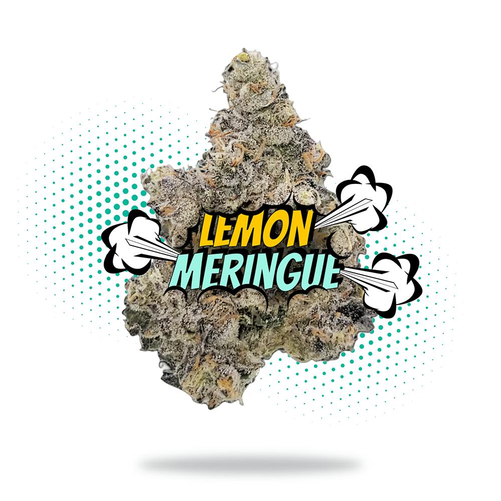 Lemon Meringue Weed Strain Information | Weedmaps