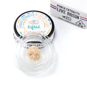 Punch Extracts | Moroccan Papaya Tier 4 Live Rosin Cold Cure Badder 1g
