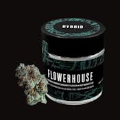 GG#4 (Gorilla Glue) 3.5g Premium Indoor Flower